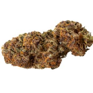 Diablo Rojo XL Auto Strain