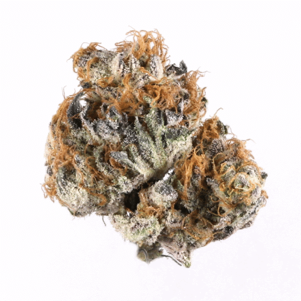 Drippin’ Aint Eazy Strain
