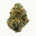 Durban Cookies Strain