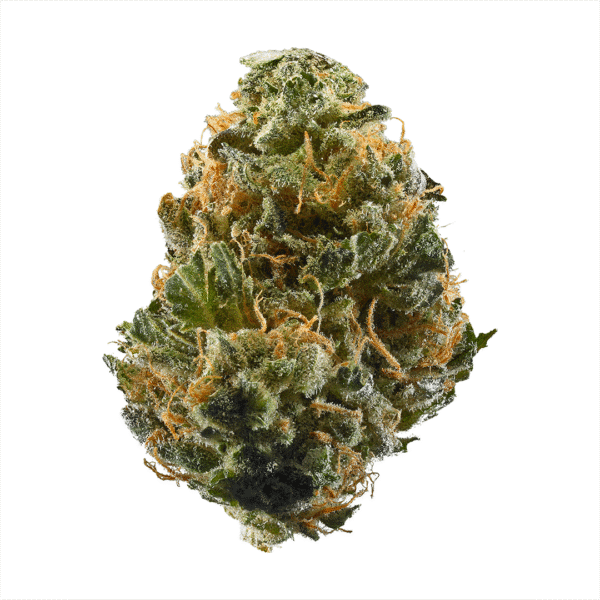 Durban Cookies Strain