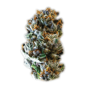 Eternal Death Slayer 3 Strain