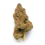 Ethos Hash Plant Bx1 Strain
