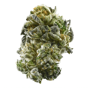 Fresh Air Strain