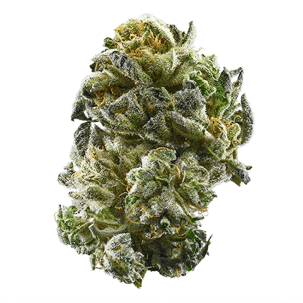 Fresh Air Strain