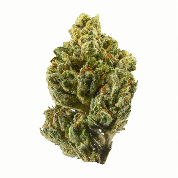 Gammaberry Strain