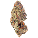 Grandmommy Purple
