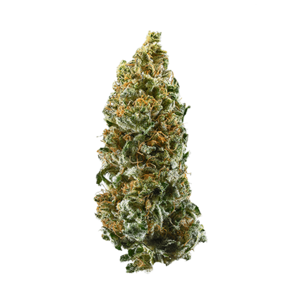 Gumball Strain