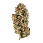 Gunnpowwder Strain