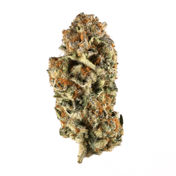Gunnpowwder Strain
