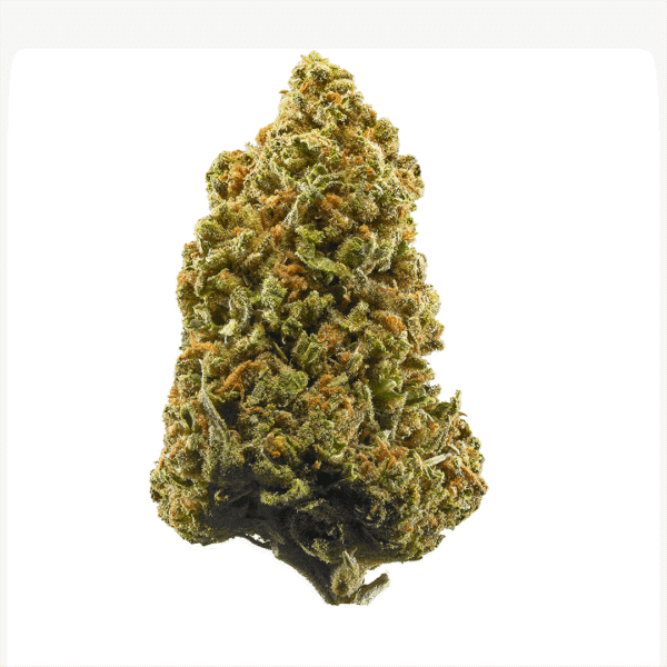 Hades OG Strain