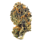 High Noon Irish Cream Strain
