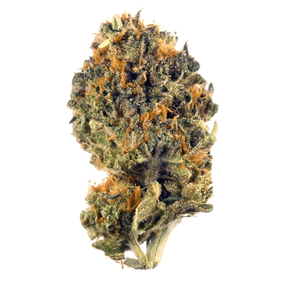 High Noon Irish Cream Strain