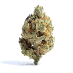 Island Haze Strain