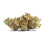 King Cone Strain