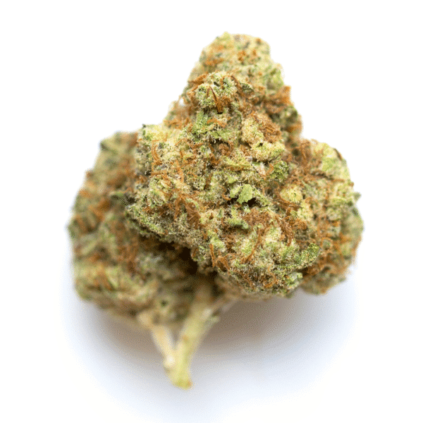 King's Stash Strain