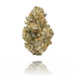 Kiwi Sorbet Strain