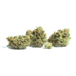 Kona Gold Strain