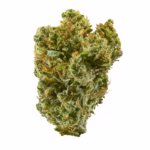 Leda Uno Strain