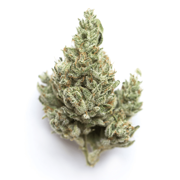 M1 56 Strain