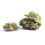 Megalodon Strain