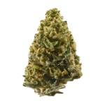 Midnight Moon Strain