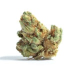 Mikado Strain