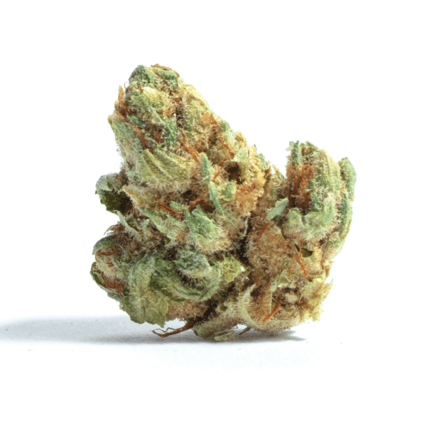 Mikado Strain