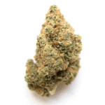 Moose and Lobsta Strain