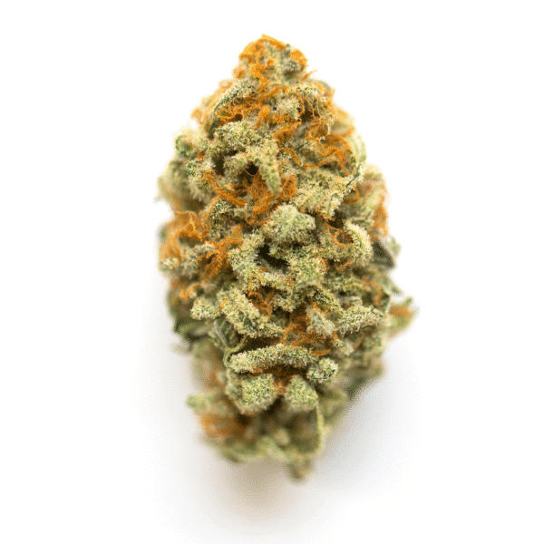 Mr Clean Strain