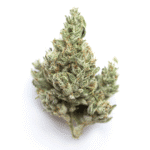 NYC Haze Strain