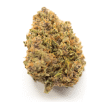 Panama Punch Strain