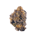 Peyote Gorilla Strain