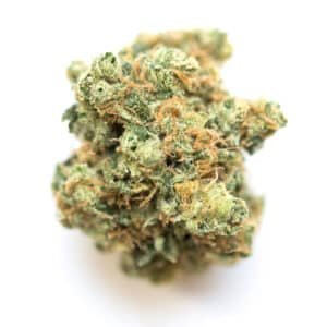 Pineapple Super Silver Haze Strain