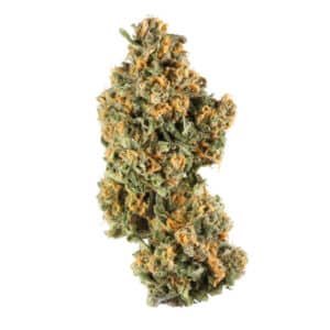 Pink Champagne Strain