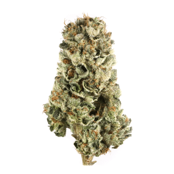 Platinum Grapes Strain