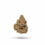 Powder Daze Strain