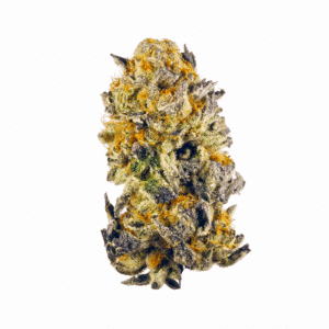Prismatic Jack Strain