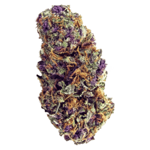 Purple Palm Tree Delight Strain
