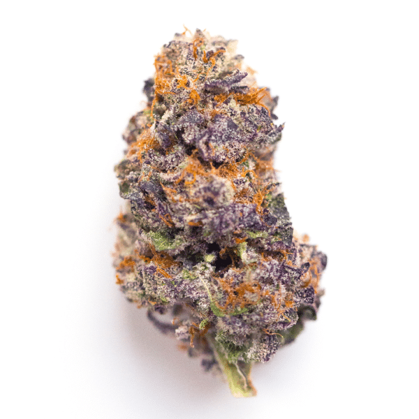 Royal Tree Sherbet Strain