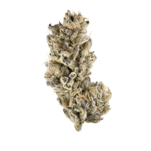 Ruby Rose Strain