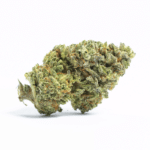 Shady Apples Strain