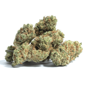 Sorbet Dreams Strain