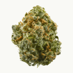 Sour Gorilla Strain