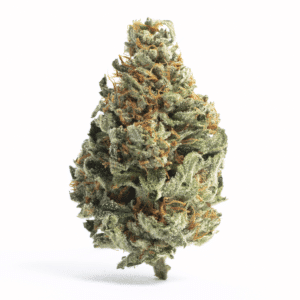 Sour Tropicana Strain