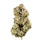Space Jello Strain