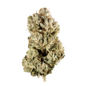 Space Jello Strain