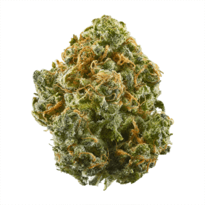 Stardawg Guava Strain