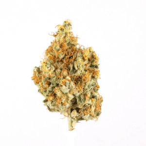 Starman Strain