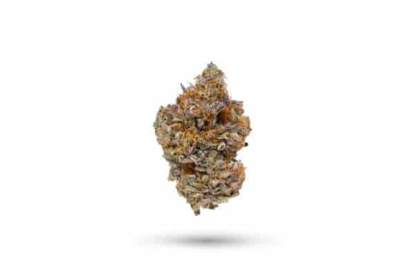 Summit Sauce Strain
