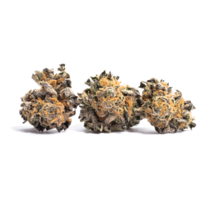 Sundae Punch Strain